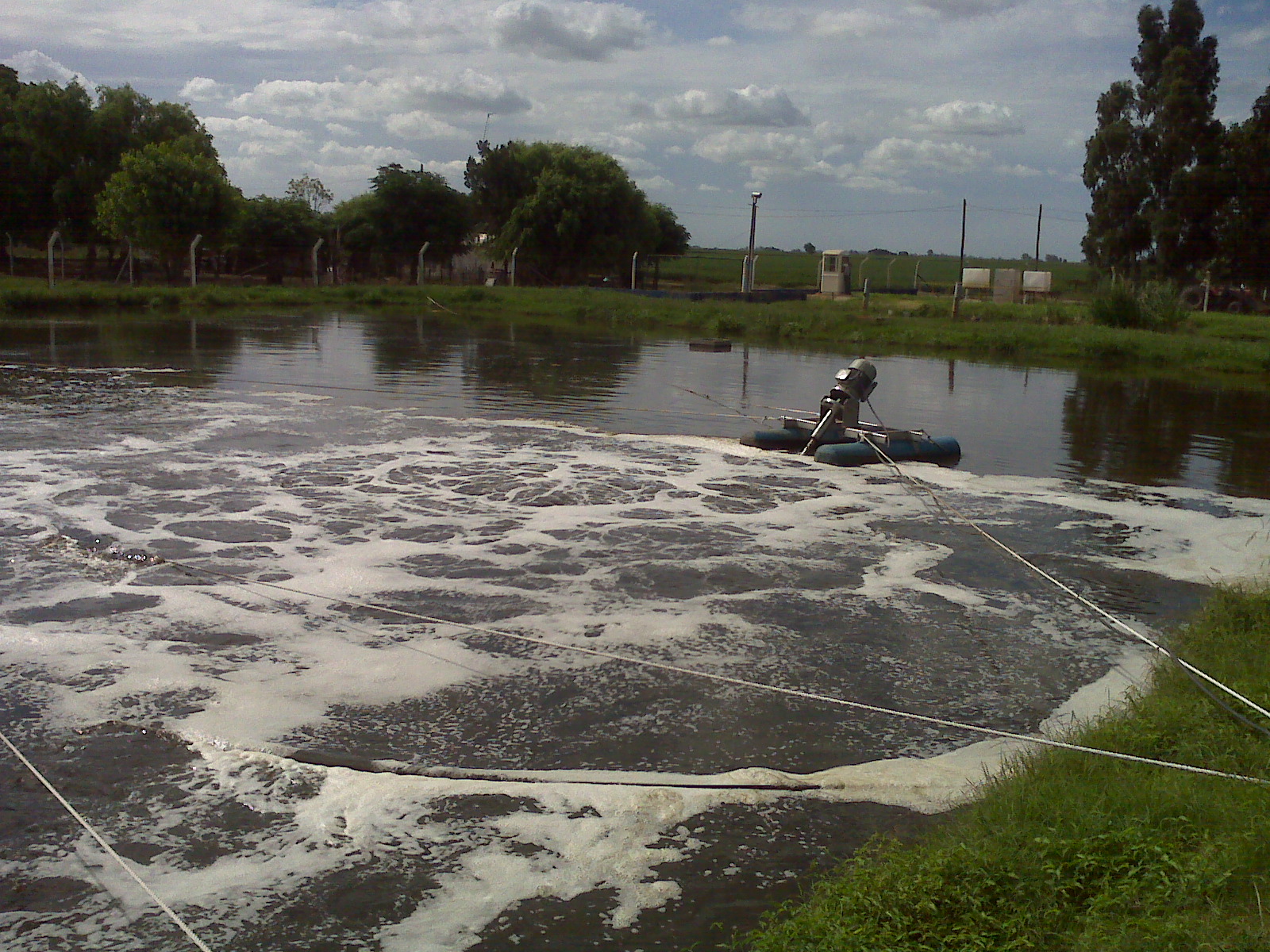 SEDIMENTADOR SECUNDARIO