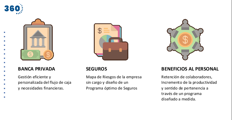 Servicio 360 acompañamiento integral para Empresas y asociaciones